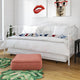 Twin Modern Industrial Daybed Metal Frame with Clean Lines, White