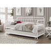 Twin Traditional Daybed Iron Frame with Rounded Design and Roll Out Trundle